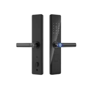 Cerradura Inteligente LFT 13