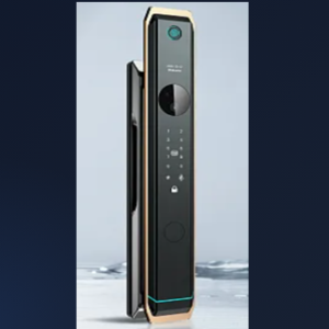 Cerradura Inteligente Deluxe LTF D1